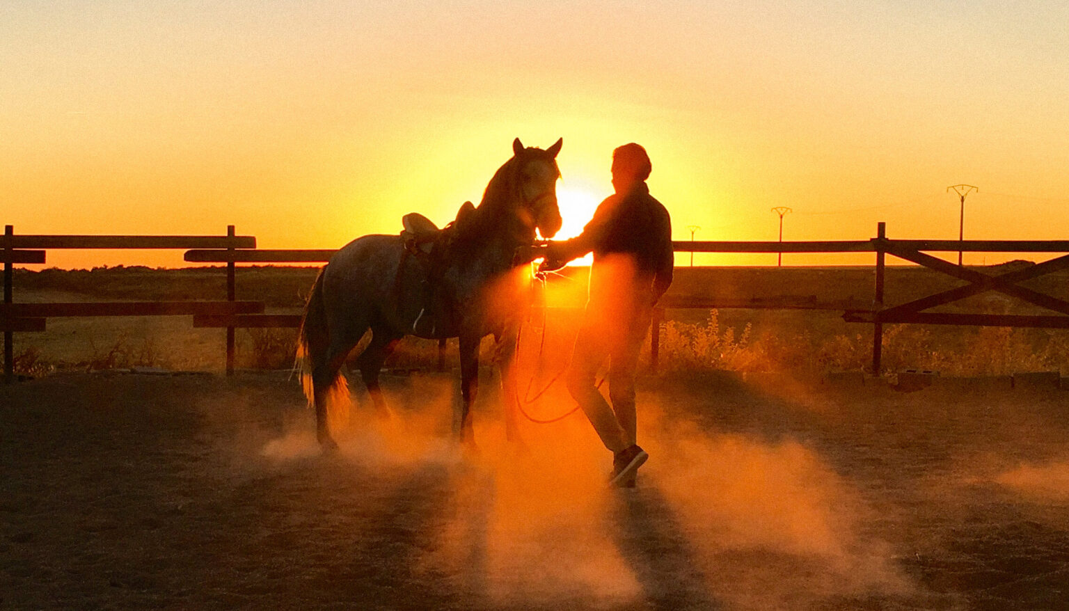 STUNT RANCH 1