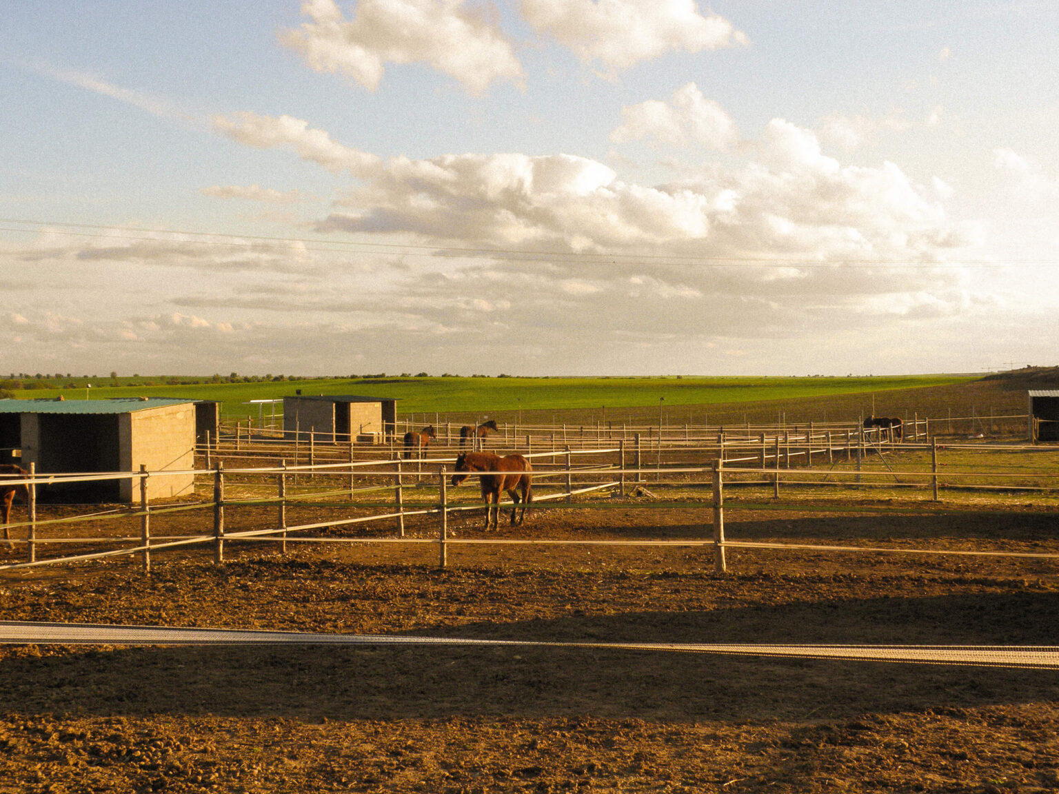 STUNT RANCH 3